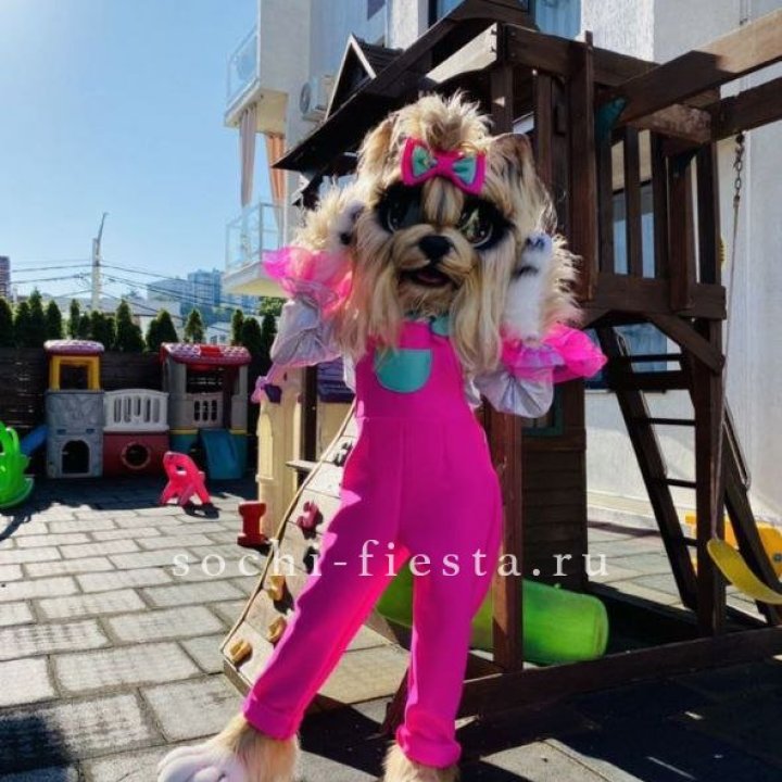 Аниматор Гламурная Собака в Щёлкове