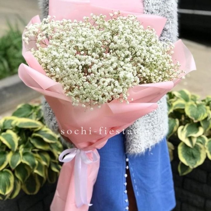 Белоснежные гипсофилы в Щёлкове