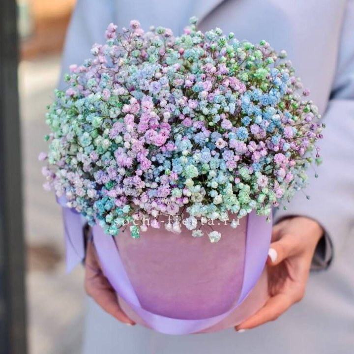 Гипсофилы в шляпной коробке "Кандилайт" в Щёлкове