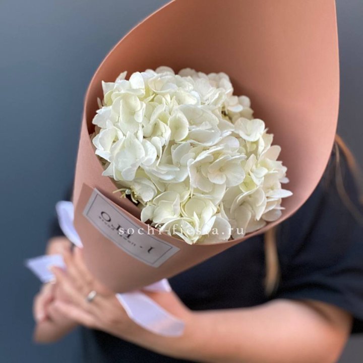 Гортензия в конверте в Щёлкове