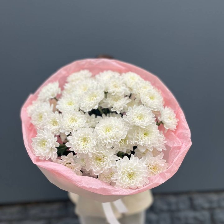  5 хризантем  с доставкой в Щёлкове