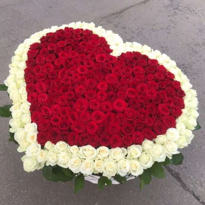 333 розы в корзине в Щёлкове