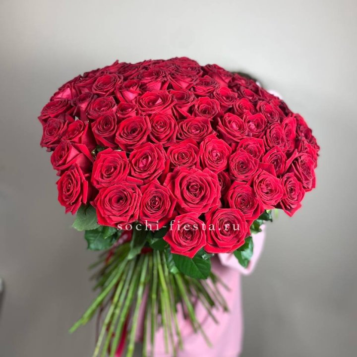 101  голландская роза  в Щёлкове