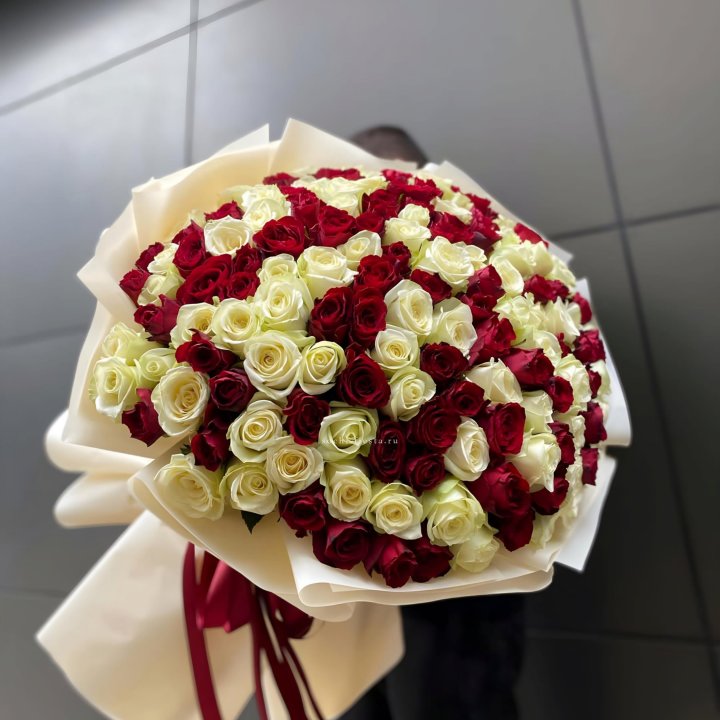 101 высокая импортная роза  в Щёлкове