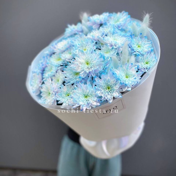  Букет нежно-голубых хризантем  в Щёлкове