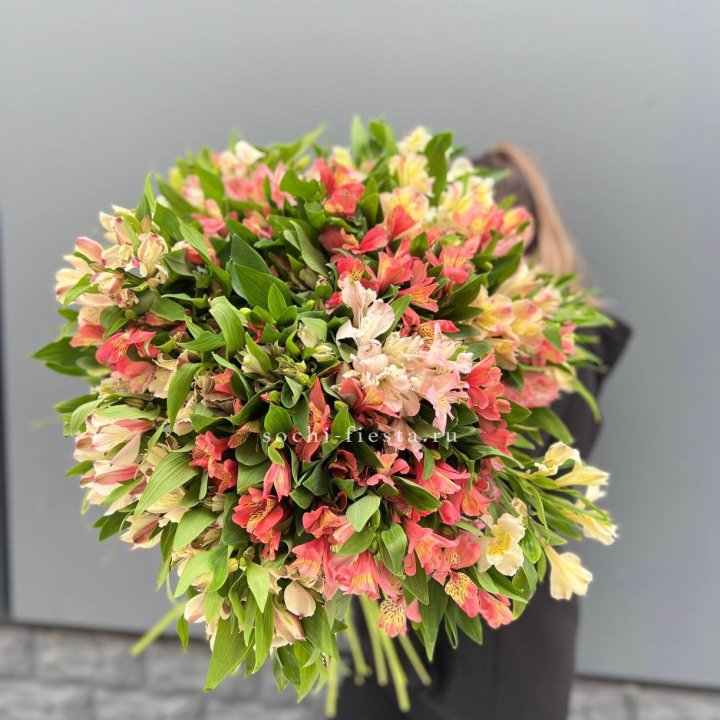 51 альстромерия в Щёлкове