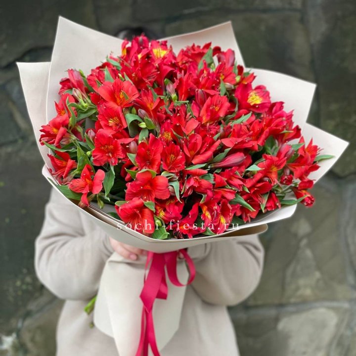 51 альстромерия в Щёлкове