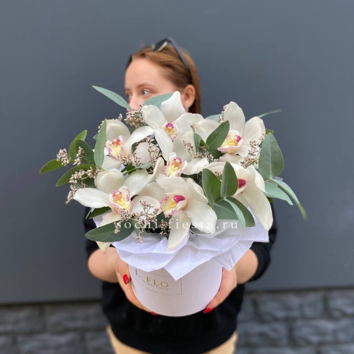 7 орхидей в боксе в Щёлкове