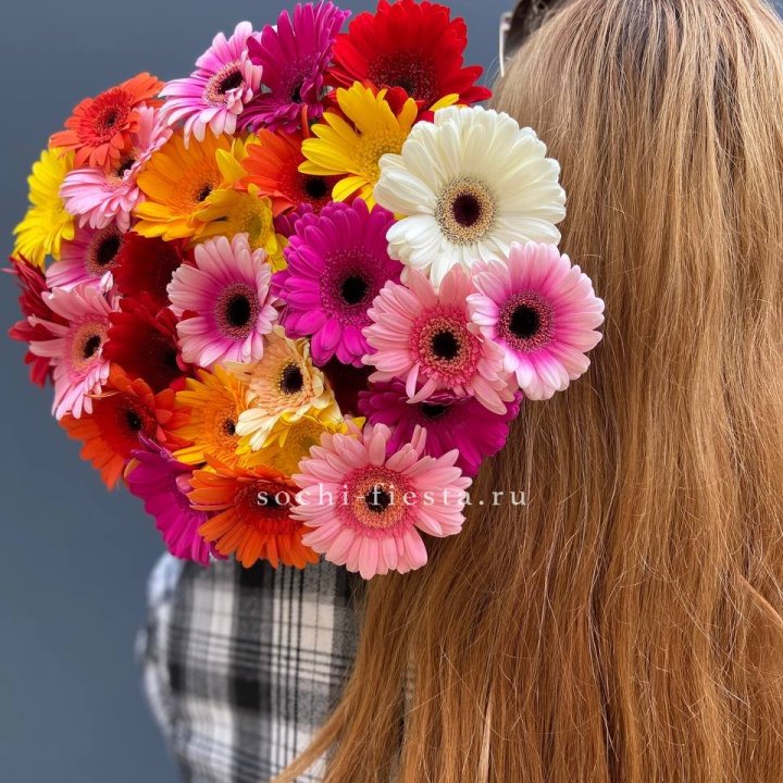 Охапка гербер  в Щёлкове