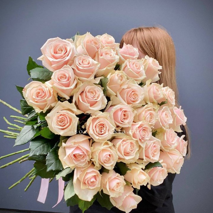 35 кремовых высоких роз в Щёлкове