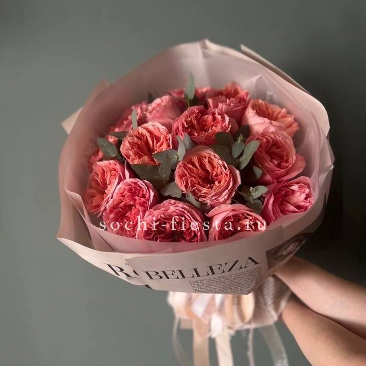 15 Пинк экспрешен в Щёлкове