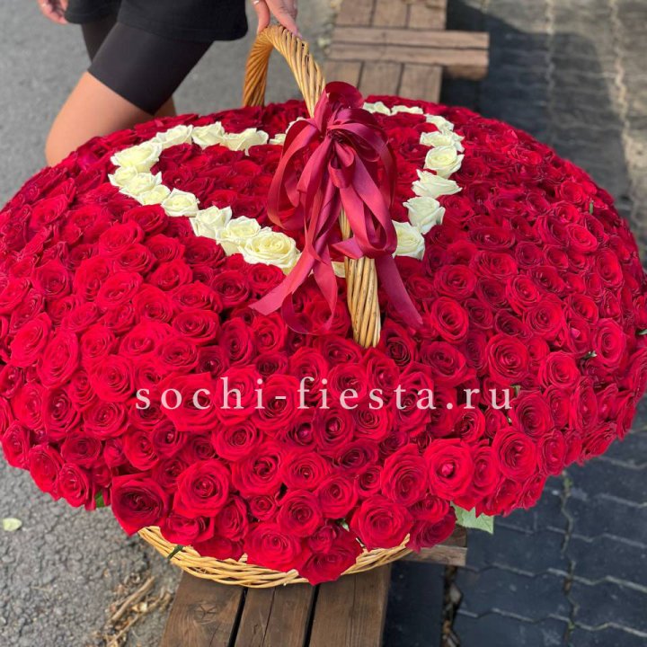 505 роз в Щёлкове