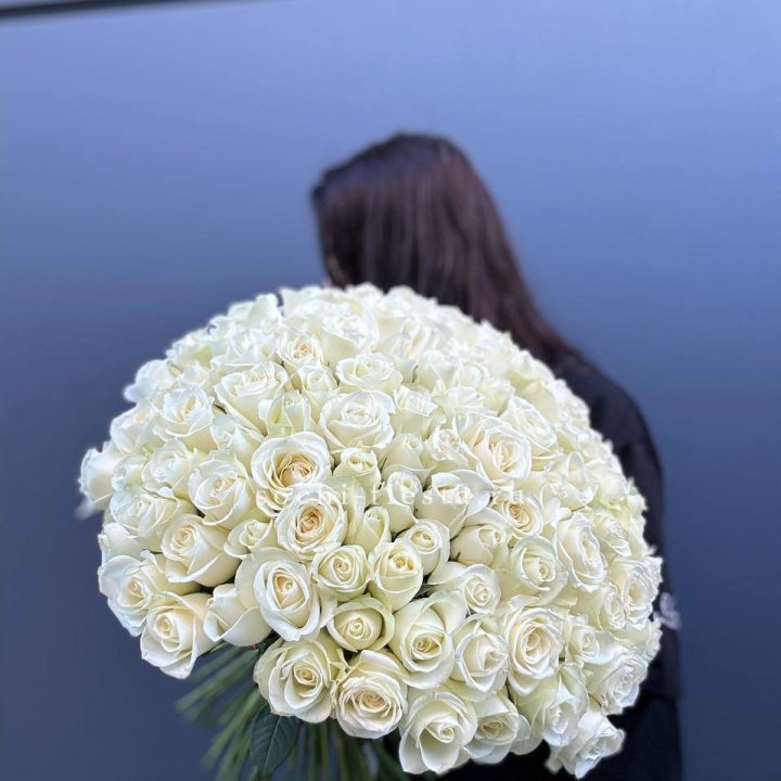 Охапка из 101 белой розы  в Щёлкове
