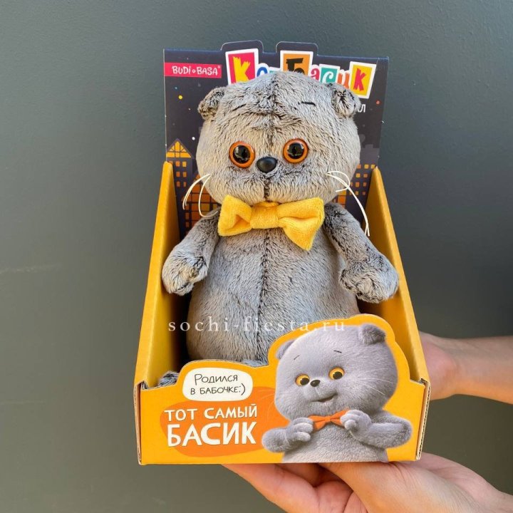 Кот Басик с бабочкой в Щёлкове